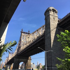 IMG_6447.jpg