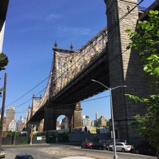 IMG_6448.jpg