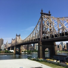 IMG_6449.jpg