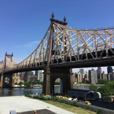 IMG_6450.jpg