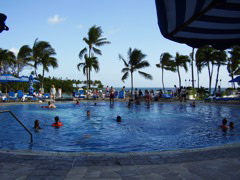 P4130055.JPG