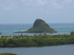 P4180065.JPG